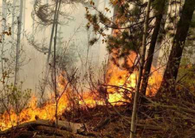 Украинские дроны поджигают крымский лес