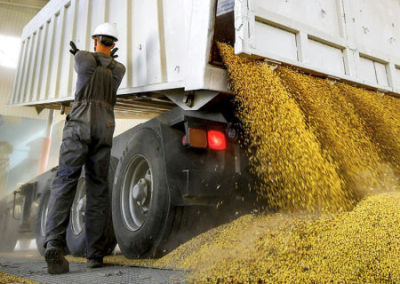 Польша не снимет запрет на ввоз украинского зерна, пока не найдётся общее решение
