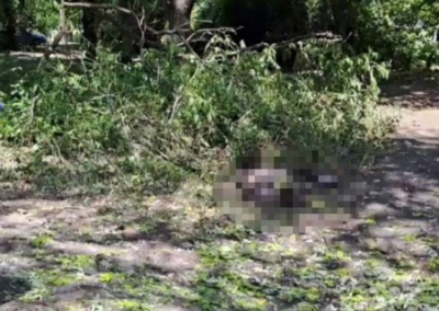 Украинские фашисты западным вооружением убили женщину в Донецке