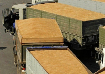 Кто тормозит украинское зерно на европейских границах?