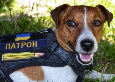 Выпускникам украинских школ на экзаменах предлагают определить год выпуска марки с псом Патроном