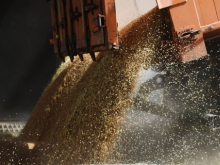 Литовские «ястребы» вновь начали закупать зерно в России. Евросоюз нарастил закупки российских удобрений
