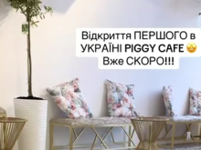 В Киеве открывают кафе со свиньями
