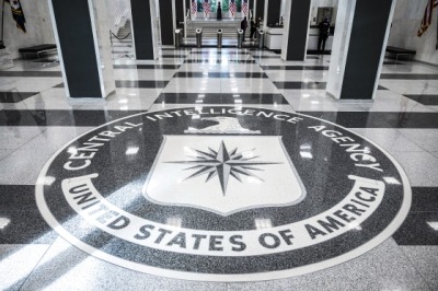 Ветеран ЦРУ: США дали Киеву оружие только для того, чтобы проливать кровь, а не победить