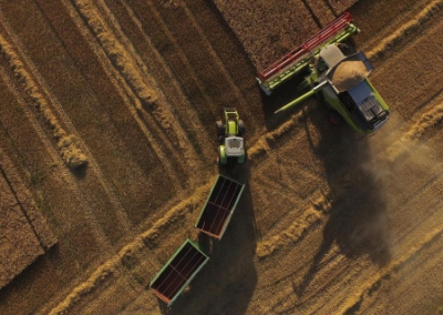 Украина сдала своих аграриев и пообещала ЕС прекратить экспорт сельхозпродукции в Европу