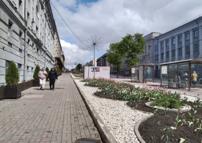 Уровень коррупции в Курской области достиг высшей должностной планки — Хинштейн
