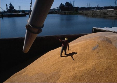 Польша вывезла с Украины более 2 млн тонн зерна. Зерновой сделке необходимы корректировки