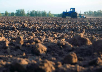 1 июля — день независимости украинского чернозёма