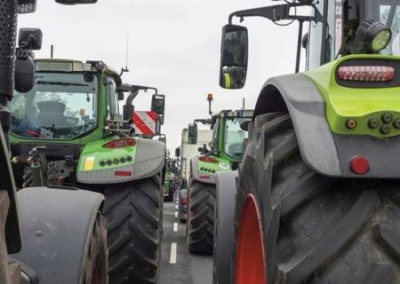 Европейские фермерские профсоюзы требуют ограничить импорт агропродукции с Украины в ЕС