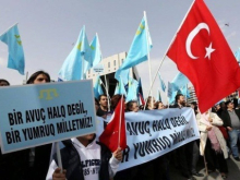 МИД Турции подтвердил, что не признаёт Крым российским