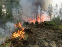 Якутские лесные пожары могут привести к ещё более глобальной катастрофе