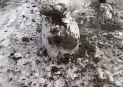 Чёрный снеговик. Как мы пережили обстрел в Донецке. Письмо «Антифашисту»