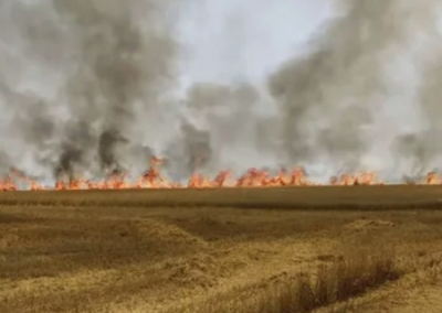 В российских регионах диверсанты начали поджигать поля, поджигателям грозят немалые тюремные сроки